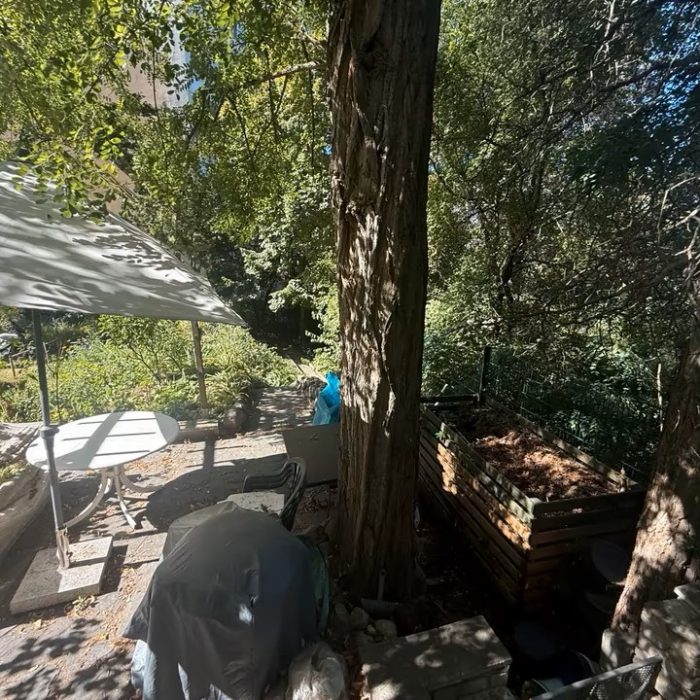 21dc097d c958 4d71 b317 003dd94607fd