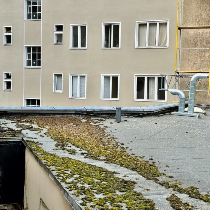 2e72ad30 23a9 4414 b9d4 ff91db73da70