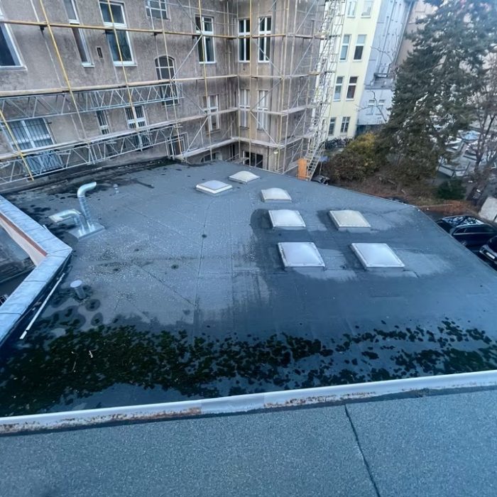 52fe0eca 6eff 4d49 a9af 13b78681da46