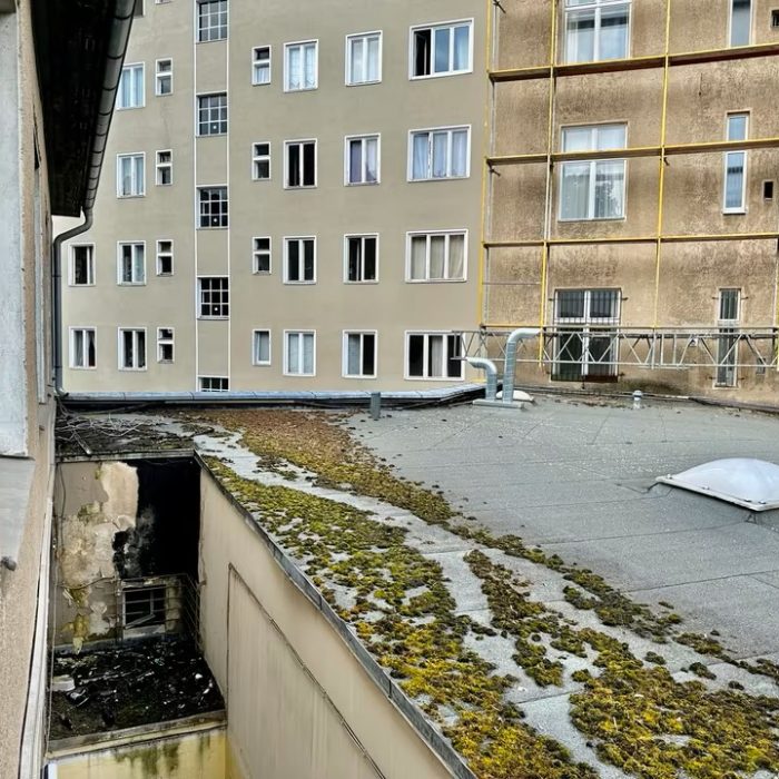 e34a5932 fe43 45ae b610 f49ab85d7f4c