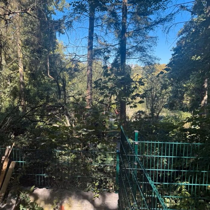 f20023ad 658f 4920 b863 7337f79f6f54